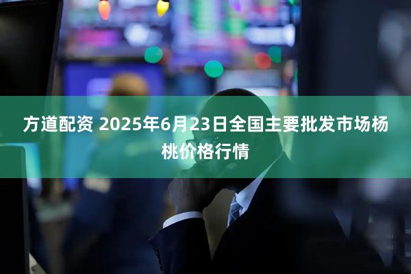 方道配资 2025年6月23日全国主要批发市场杨桃价格行情