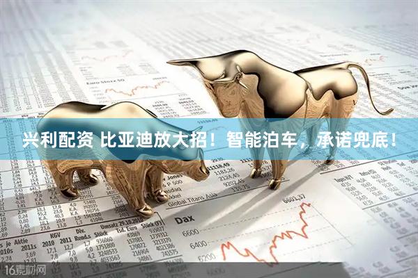 兴利配资 比亚迪放大招！智能泊车，承诺兜底！