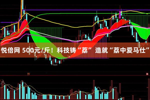悦倍网 500元/斤！科技铸“荔” 造就“荔中爱马仕”
